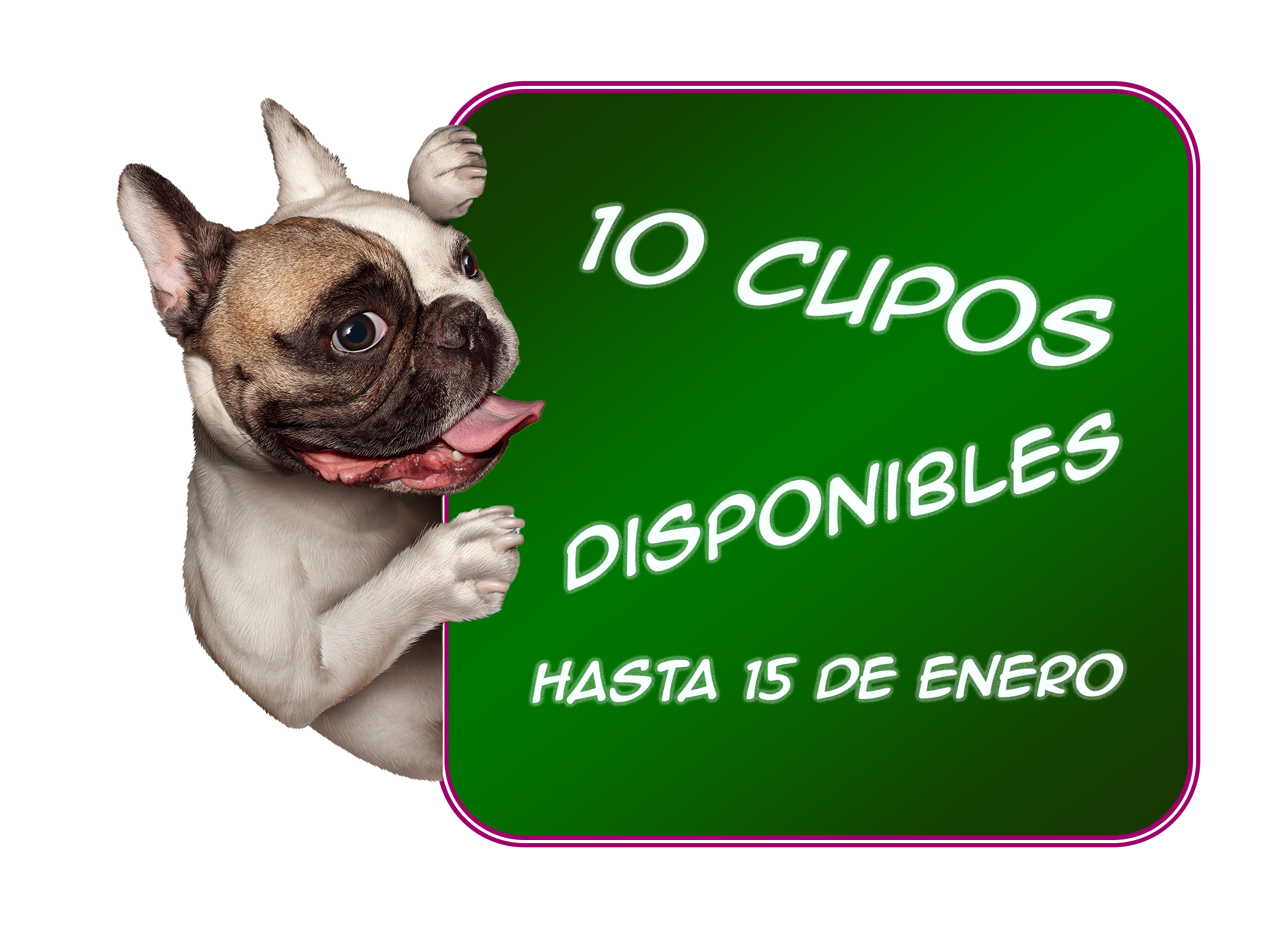 Odoo • Imagen y texto