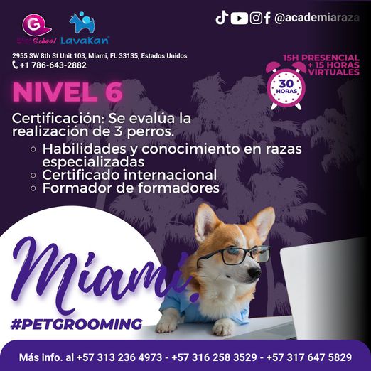Odoo - Ejemplo 3 para tres columnas