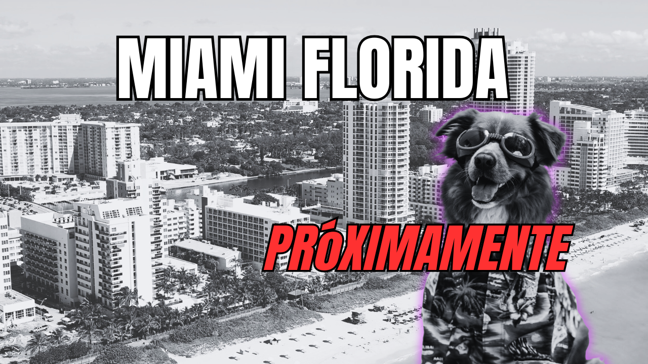 Peluqueria canina en Miami Florida 