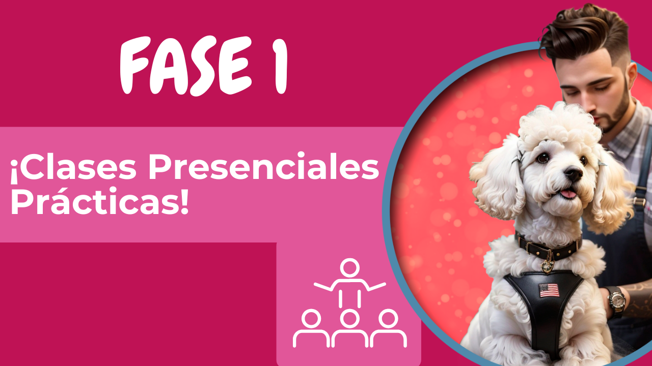 Fase 2 de aprendizaje de pet grooming en EE.UU 