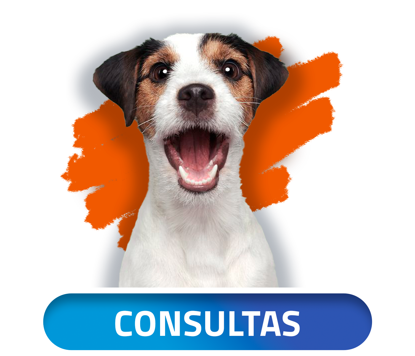 Odoo • Imagen y texto
