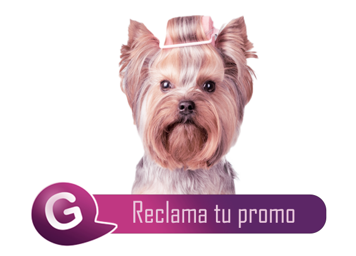 Odoo • Imagen y texto